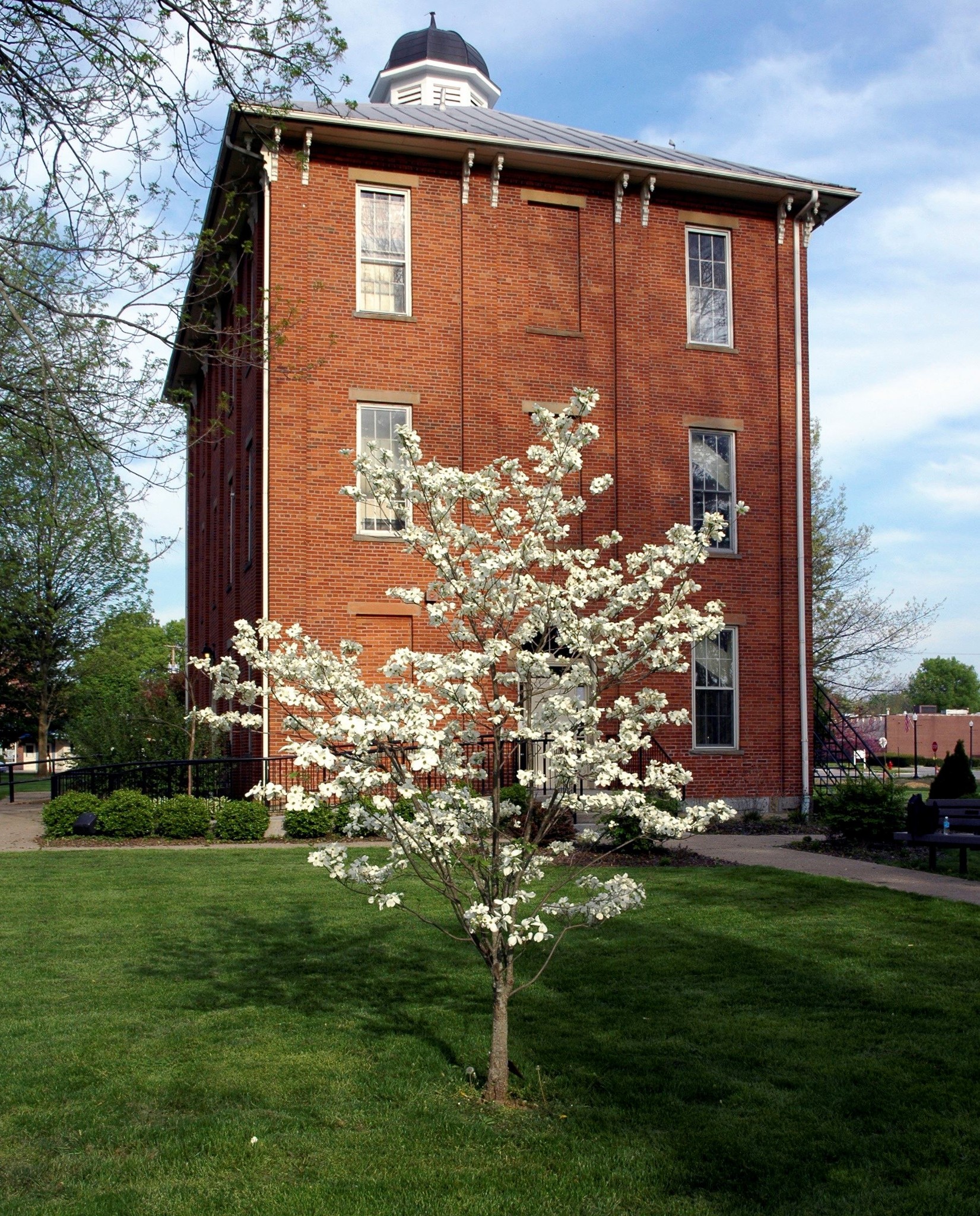 Historic three-story red-brick Sunbury Town Hall with white cupola, viewed from the lawn behind a flowering white dogwood tree.